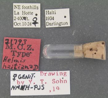 Media type: image;   Entomology 21793 Aspect: labels